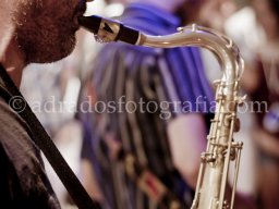 PASE BARBWIRE (13 de 22)